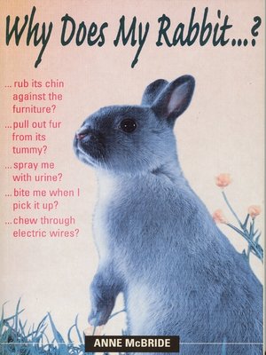 cover image of Why Does My Rabbit...?